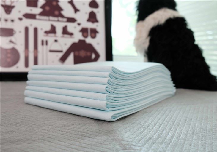 Fophadáin Oiliúna Pad Indiúscartha