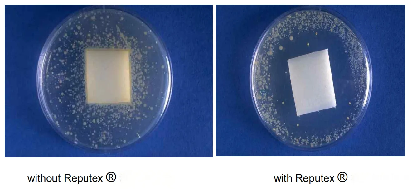antibacterial testing antibacterial testing