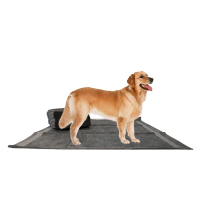 Ceap peataí carbóin chun boladh míthaitneamhach a bhaint