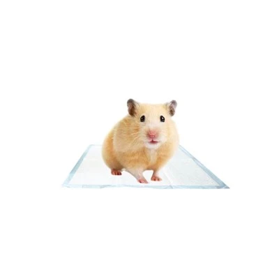 Hushpet Mini 25 * Pad fual peataí 25cm